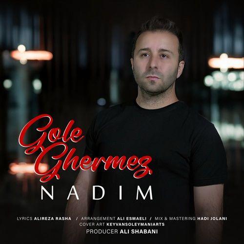 نایس موزیکا Nadim-Gole Ghermez دانلود آهنگ ندیم به نام گل قرمز  